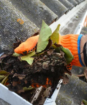 Gutter Cleaning 